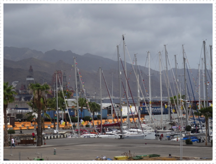 Barbados50 fleet in Tenerife Barbados50 fleet in Tenerife